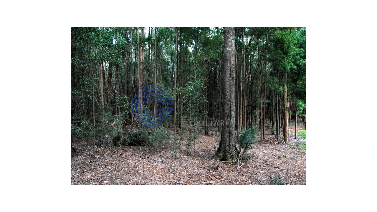 Terreno para Venda em Grijó e Sermonde Foto 6