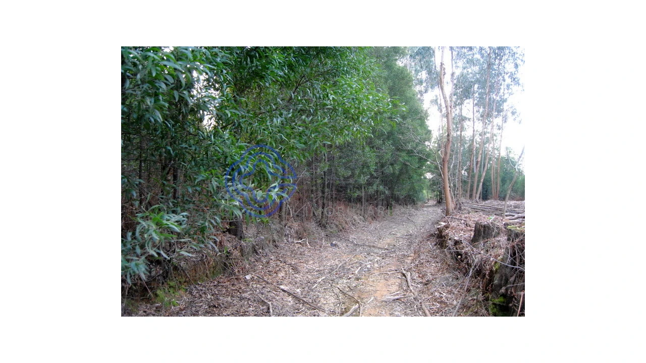 Terreno para Venda em Grijó e Sermonde Foto 17