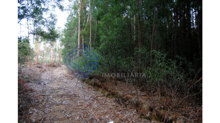 Terreno para Venda em Grijó e Sermonde Foto 14