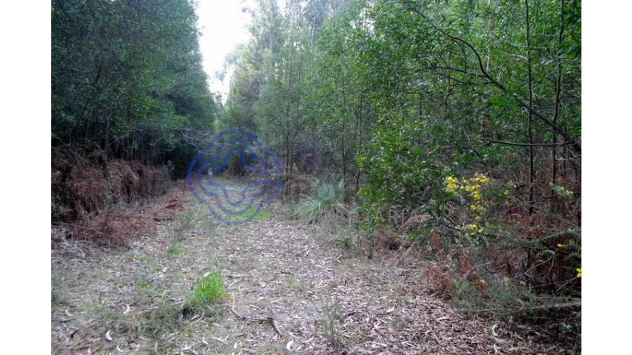 Terreno para Venda em Grijó e Sermonde Foto 18
