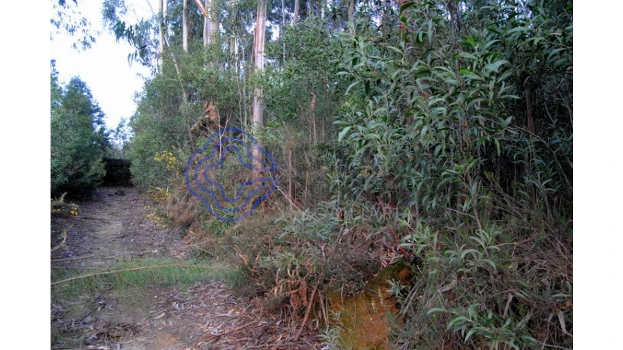 Terreno para Venda em Grijó e Sermonde Foto 11