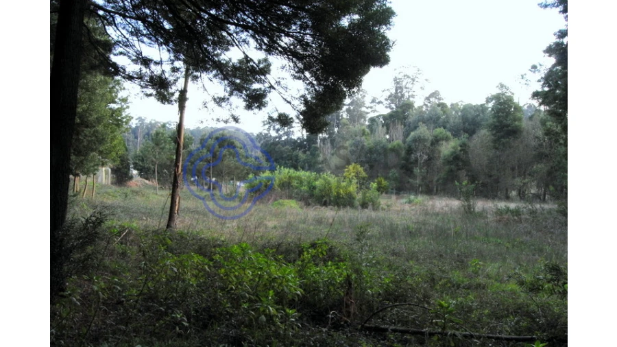 Terreno para Venda em Grijó e Sermonde Foto 9
