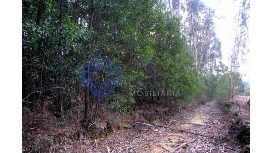 Terreno para Venda em Grijó e Sermonde Foto 13