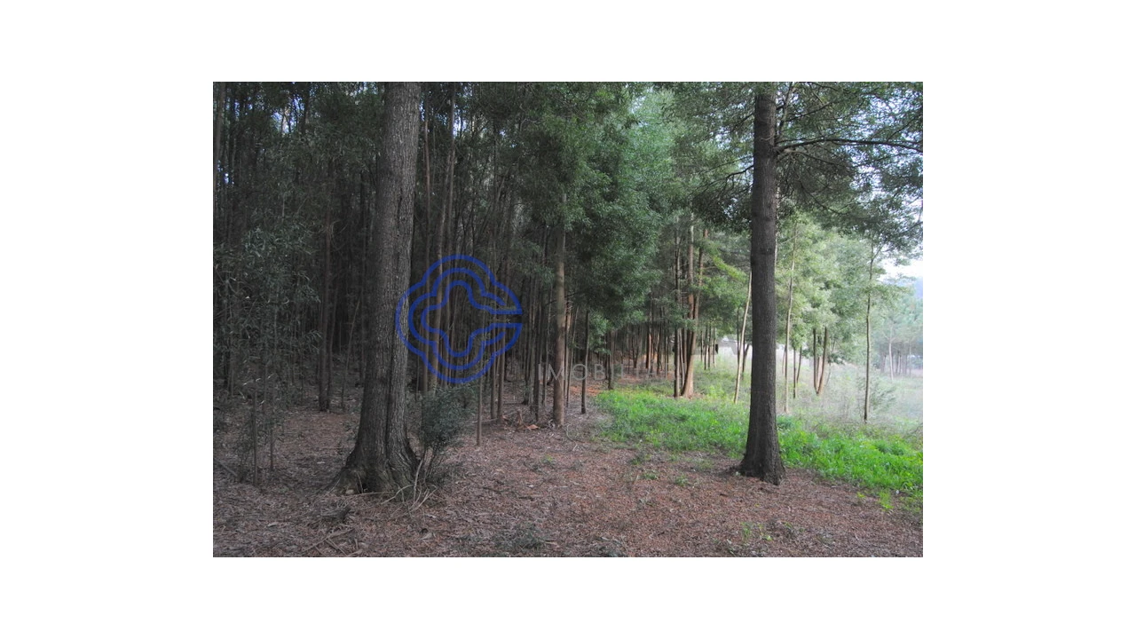 Terreno para Venda em Grijó e Sermonde Foto 5