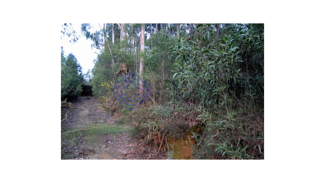 Terreno para Venda em Grijó e Sermonde Foto 11