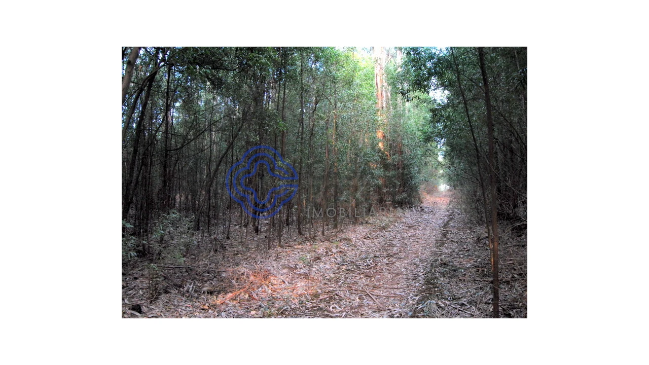 Terreno para Venda em Grijó e Sermonde Foto 4