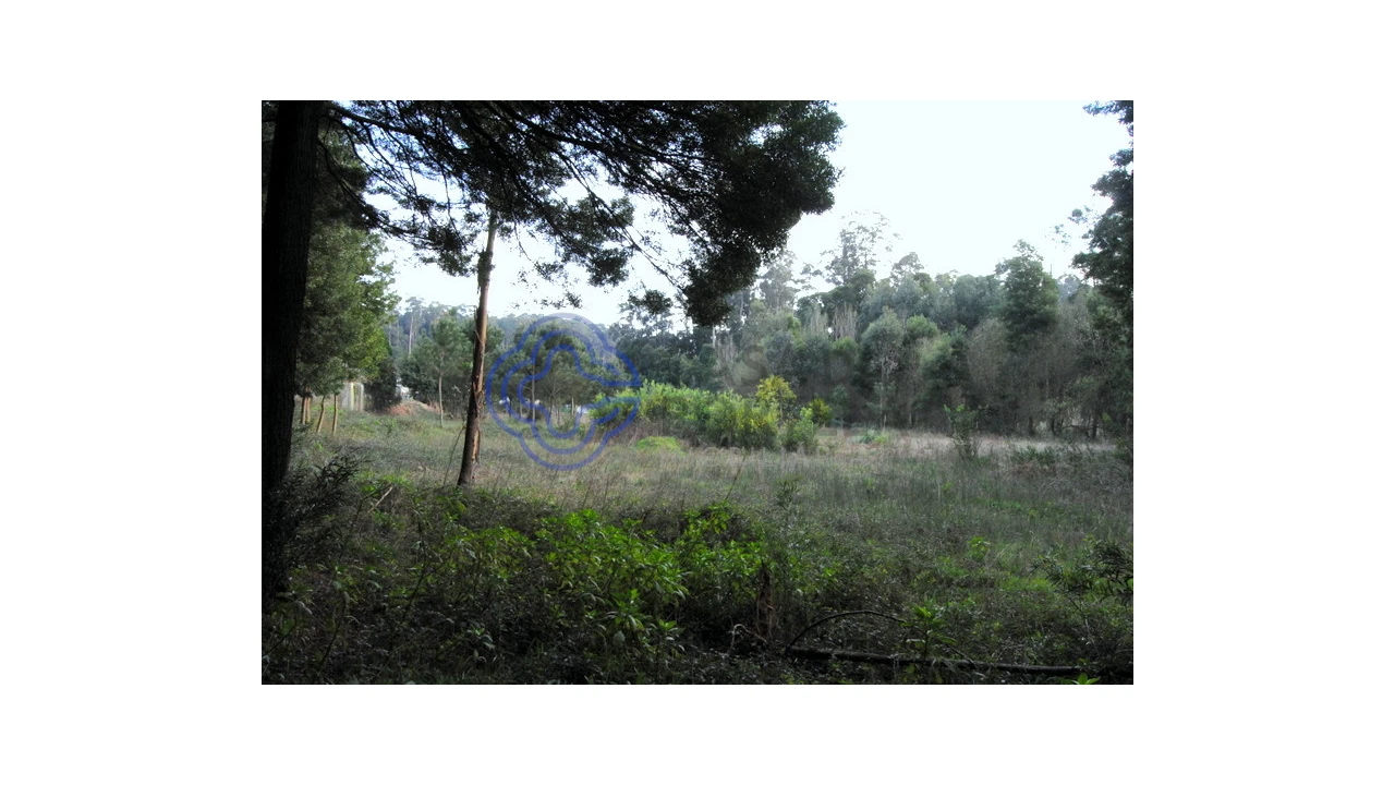 Terreno para Venda em Grijó e Sermonde Foto 9