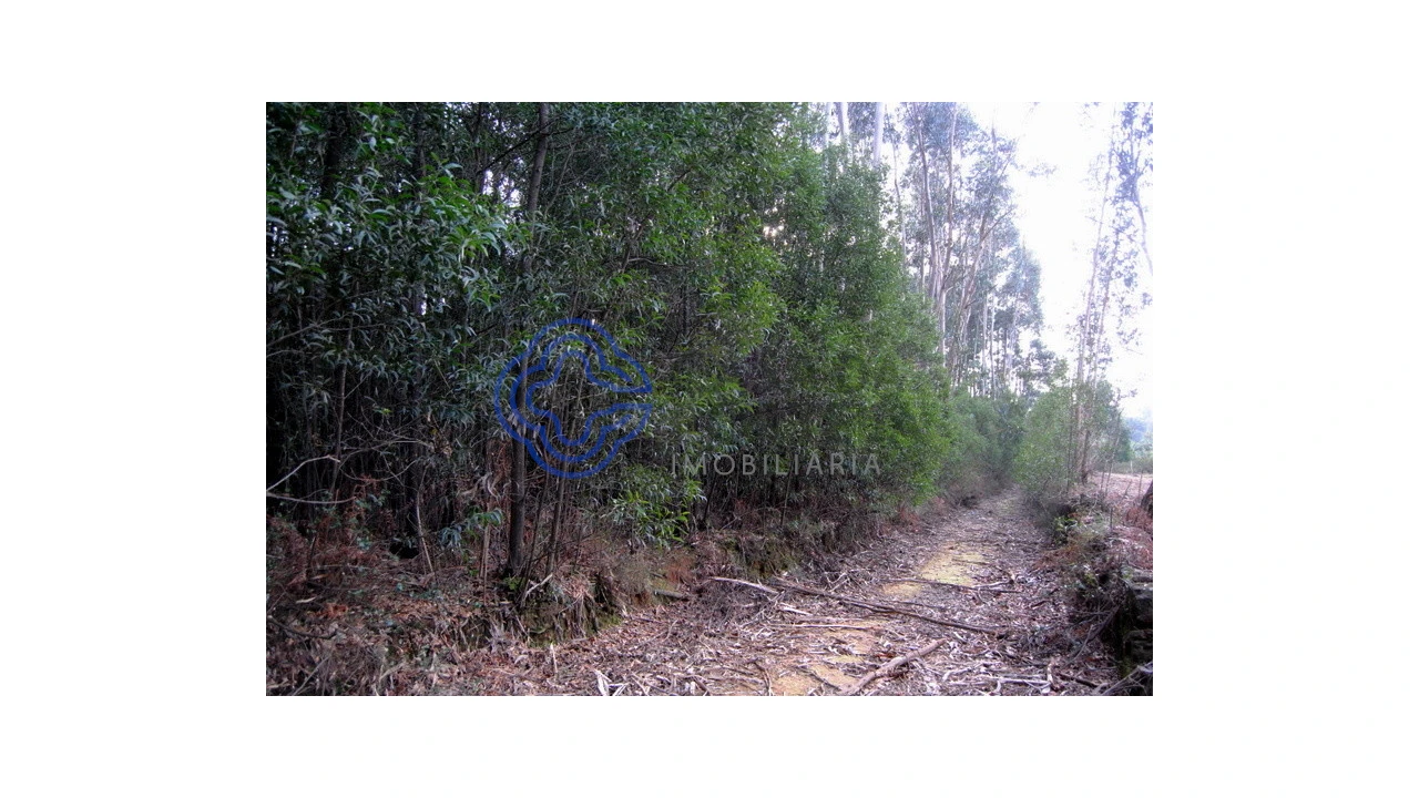 Terreno para Venda em Grijó e Sermonde Foto 13