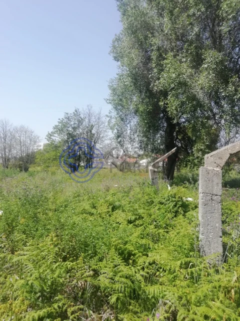 Terreno para Venda em Arcozelo