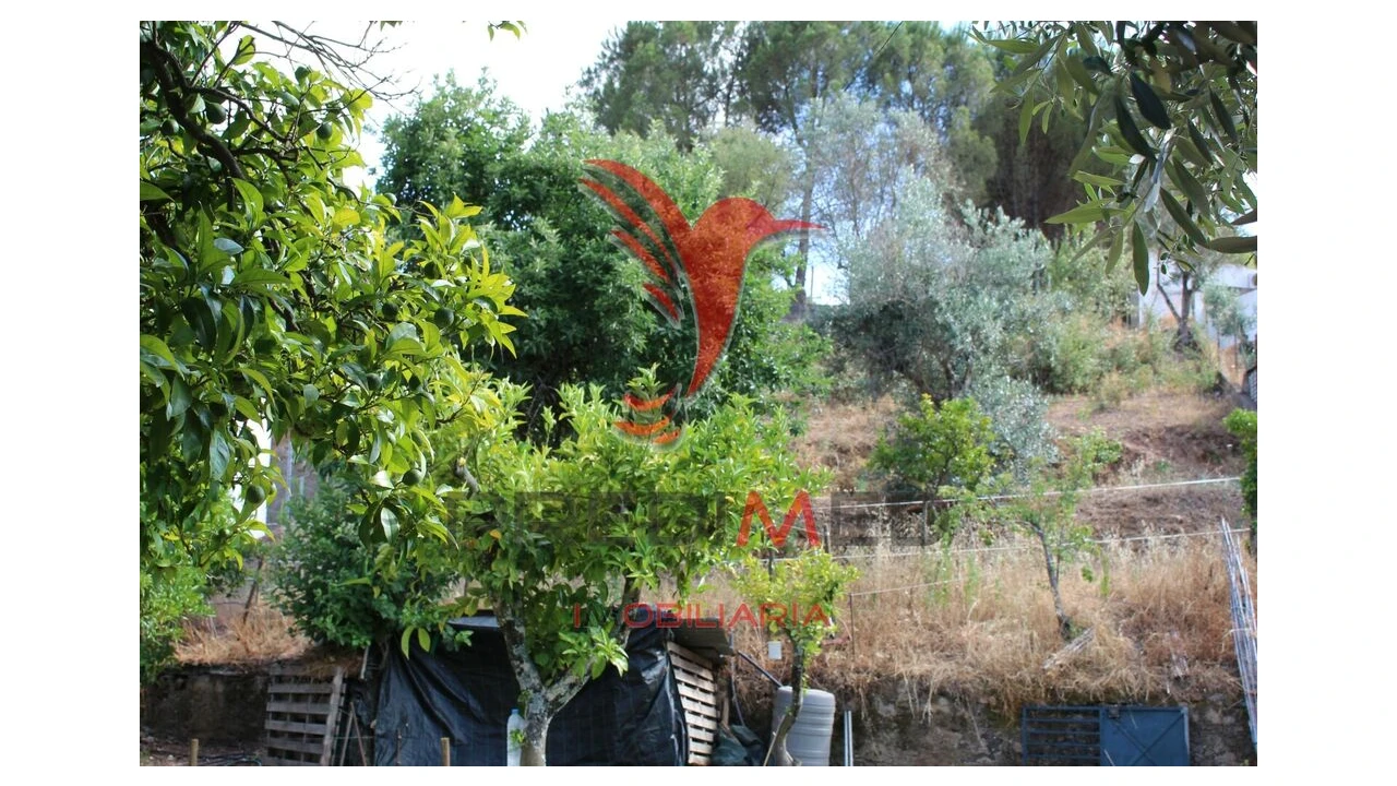 Terreno para Venda em Redondo Foto 6