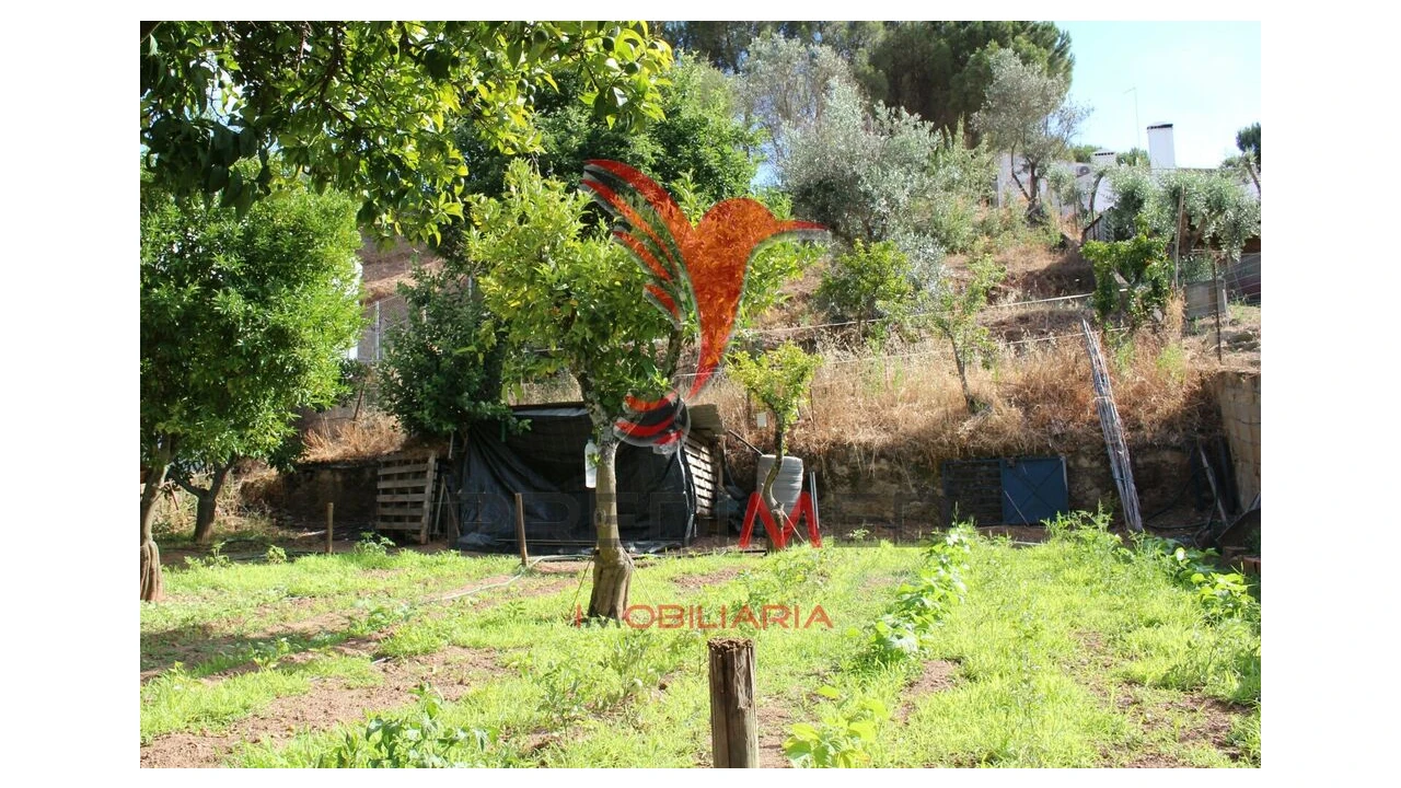 Terreno para Venda em Redondo Foto 10