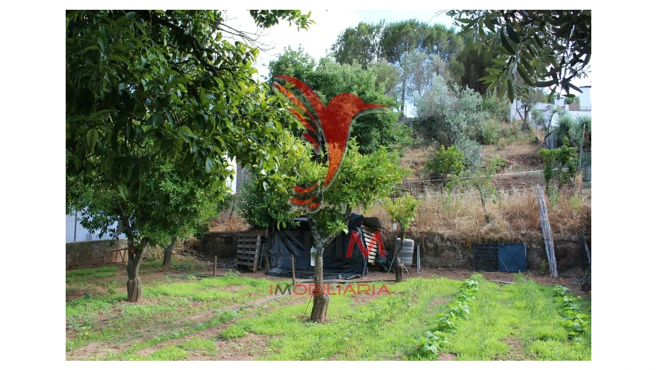 Terreno para Venda em Redondo Foto 2