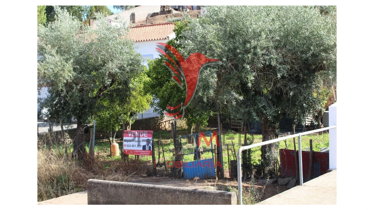 Terreno para Venda em Redondo Foto 12