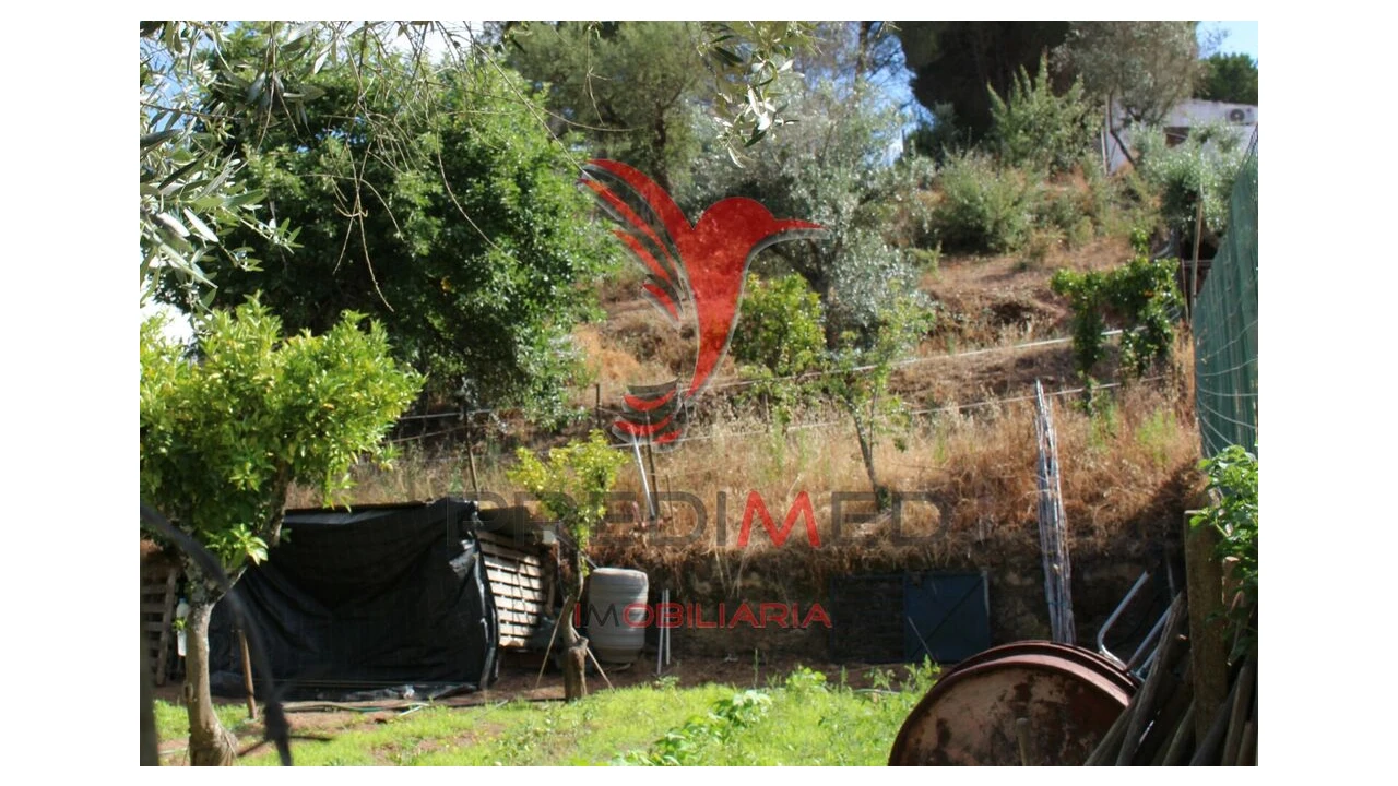 Terreno para Venda em Redondo Foto 9