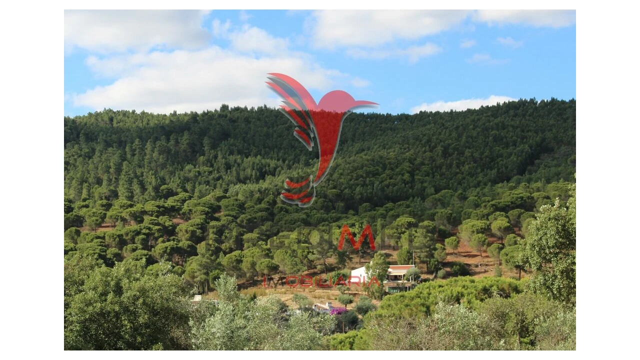 Terreno para Venda em Redondo Foto 19