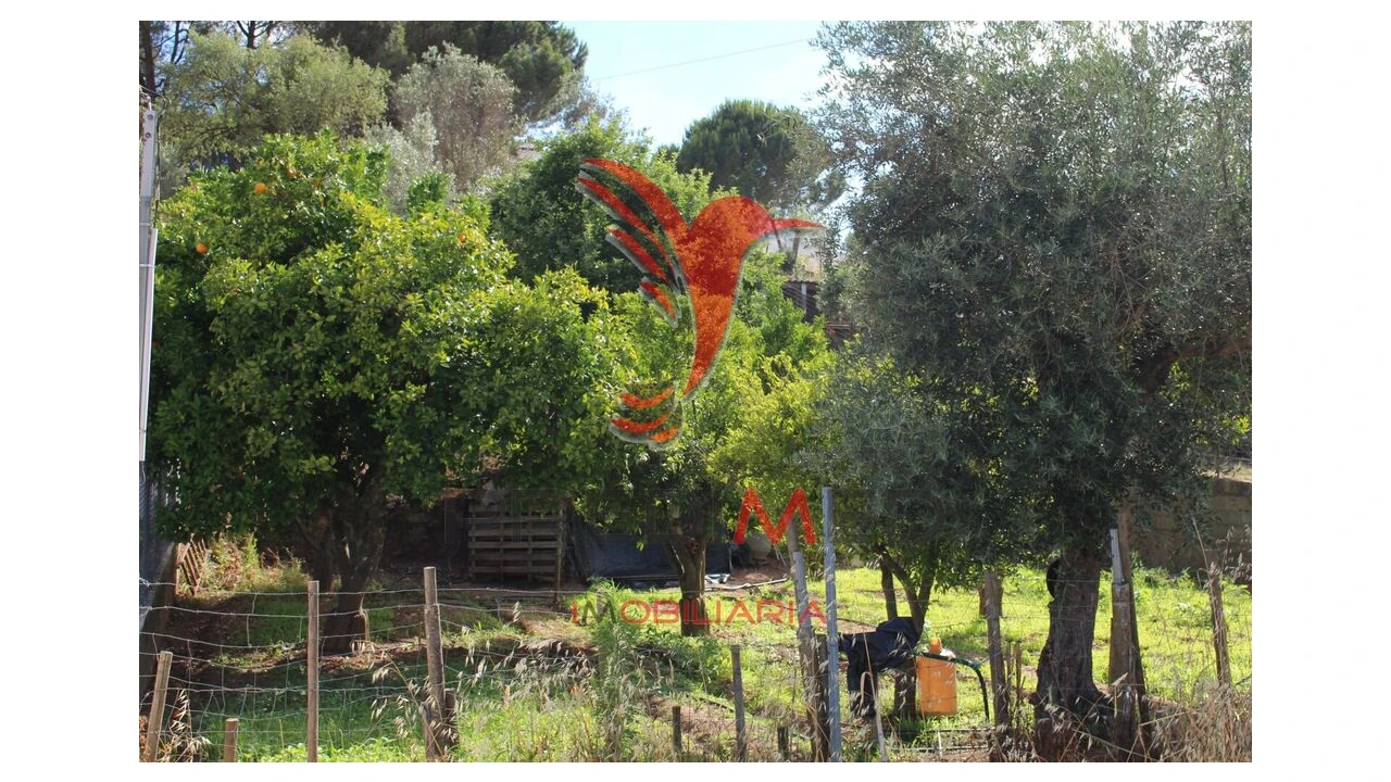 Terreno para Venda em Redondo Foto 3