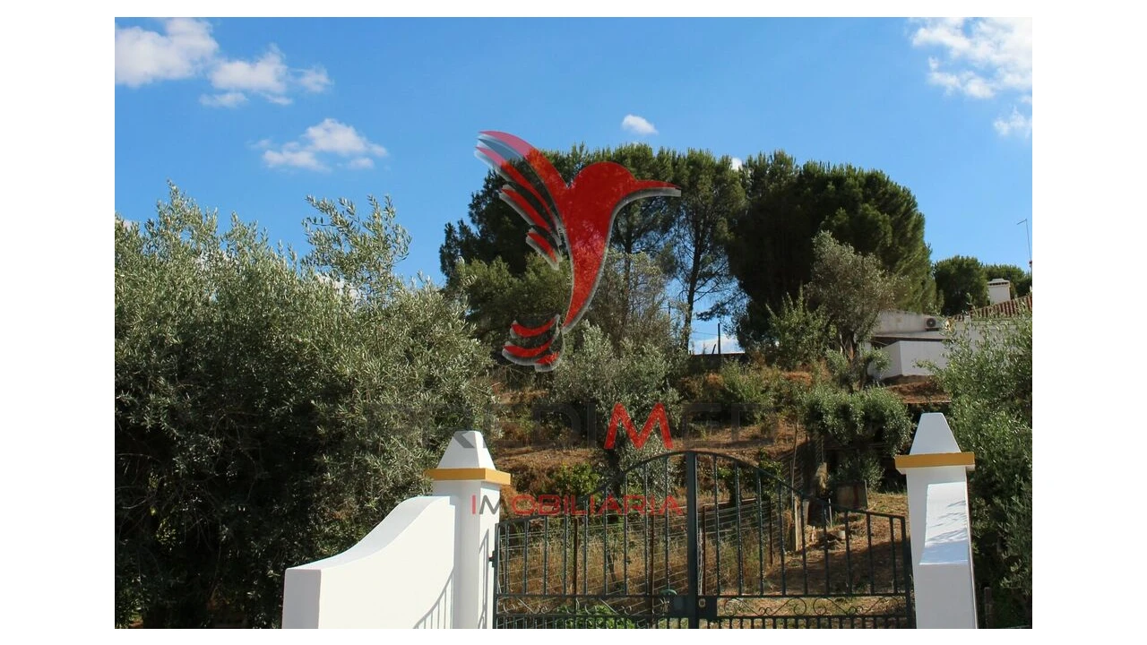 Terreno para Venda em Redondo Foto 1