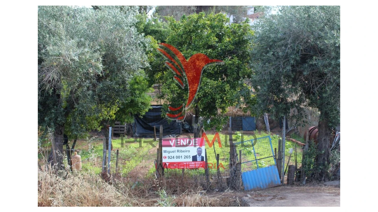 Terreno para Venda em Redondo Foto 4
