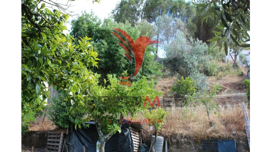 Terreno para Venda em Redondo Foto 6