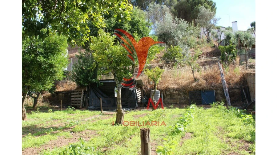 Terreno para Venda em Redondo Foto 10