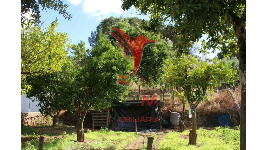 Terreno para Venda em Redondo Foto 13