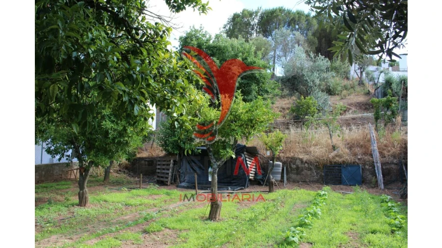 Terreno para Venda em Redondo Foto 2