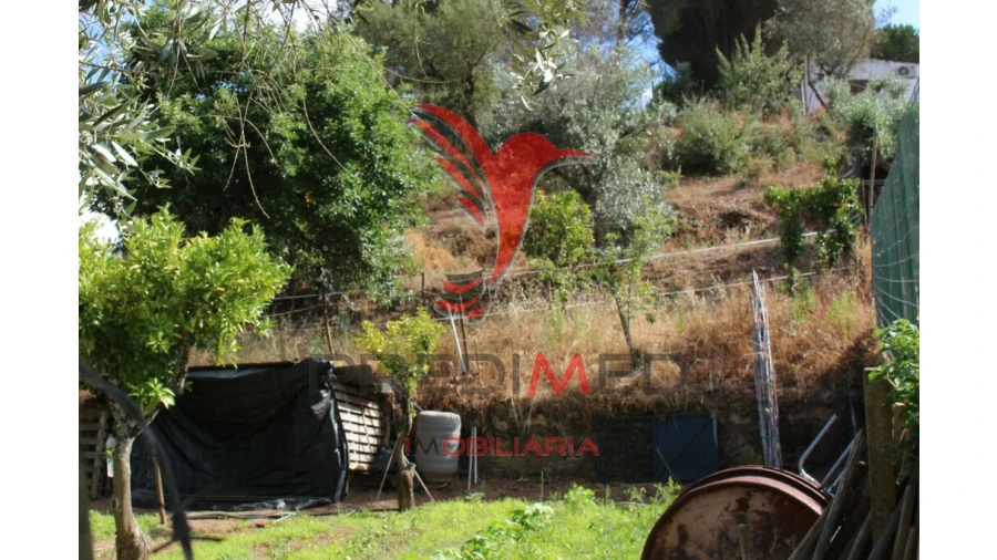 Terreno para Venda em Redondo Foto 9