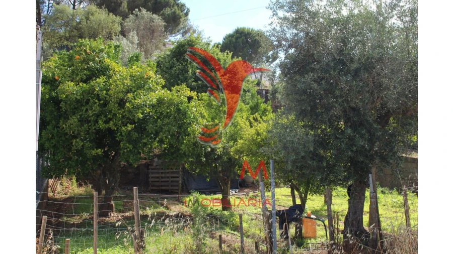 Terreno para Venda em Redondo Foto 3