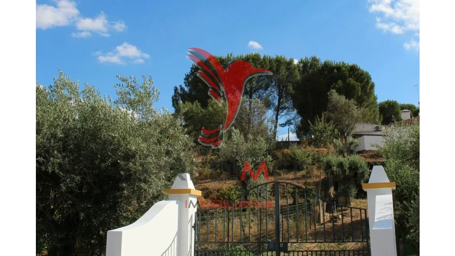 Terreno para Venda em Redondo Foto 1