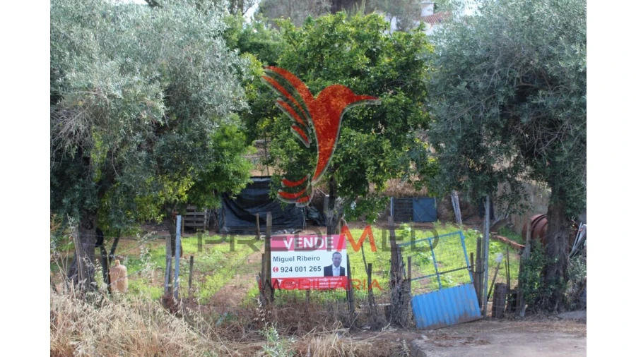 Terreno para Venda em Redondo Foto 4