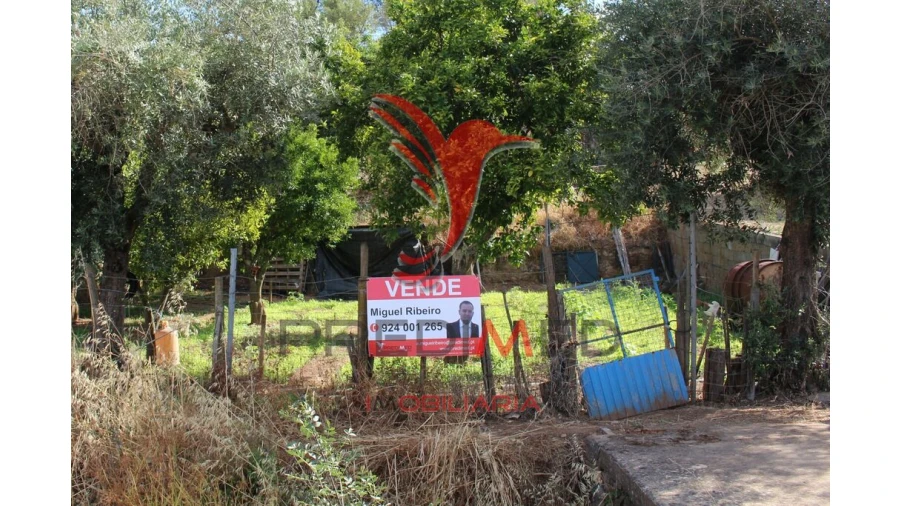 Terreno para Venda em Redondo Foto 17