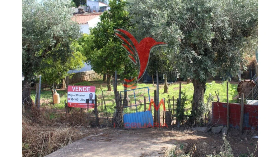 Terreno para Venda em Redondo Foto 5