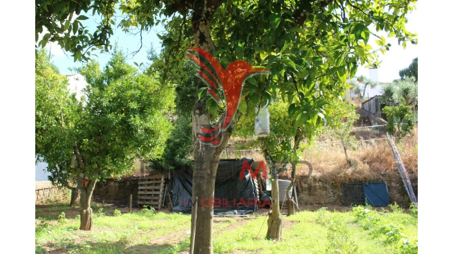 Terreno para Venda em Redondo Foto 14