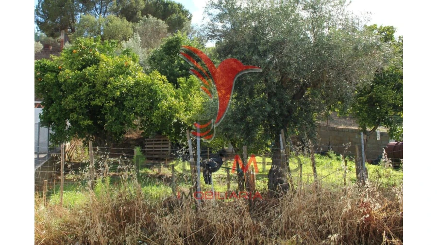 Terreno para Venda em Redondo Foto 18