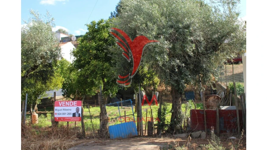 Terreno para Venda em Redondo Foto 16