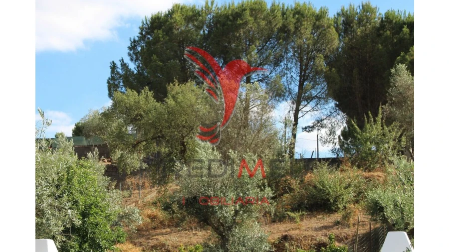 Terreno para Venda em Redondo Foto 11