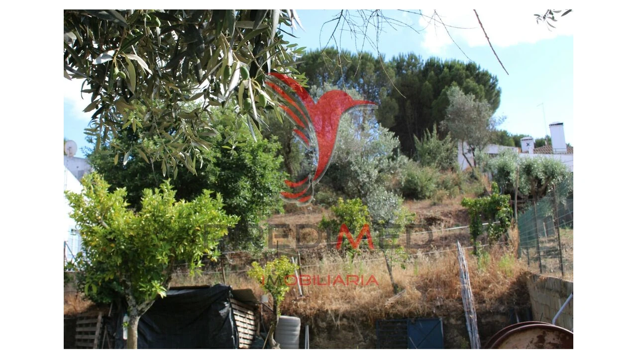 Terreno para Venda em Redondo Foto 8