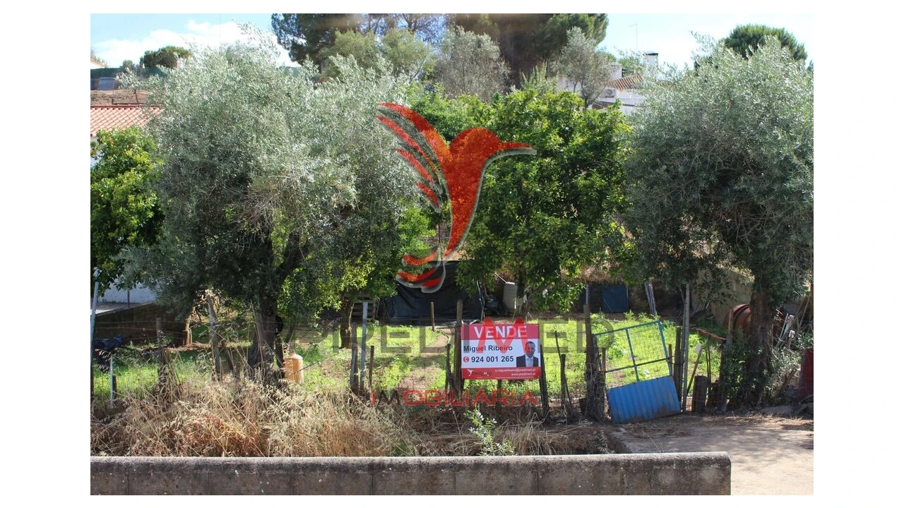 Terreno para Venda em Redondo Foto 7