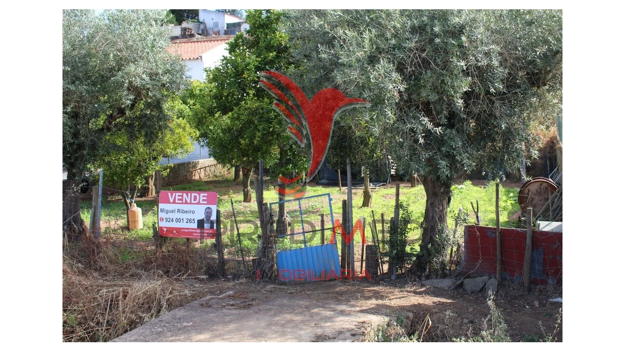 Terreno para Venda em Redondo Foto 5