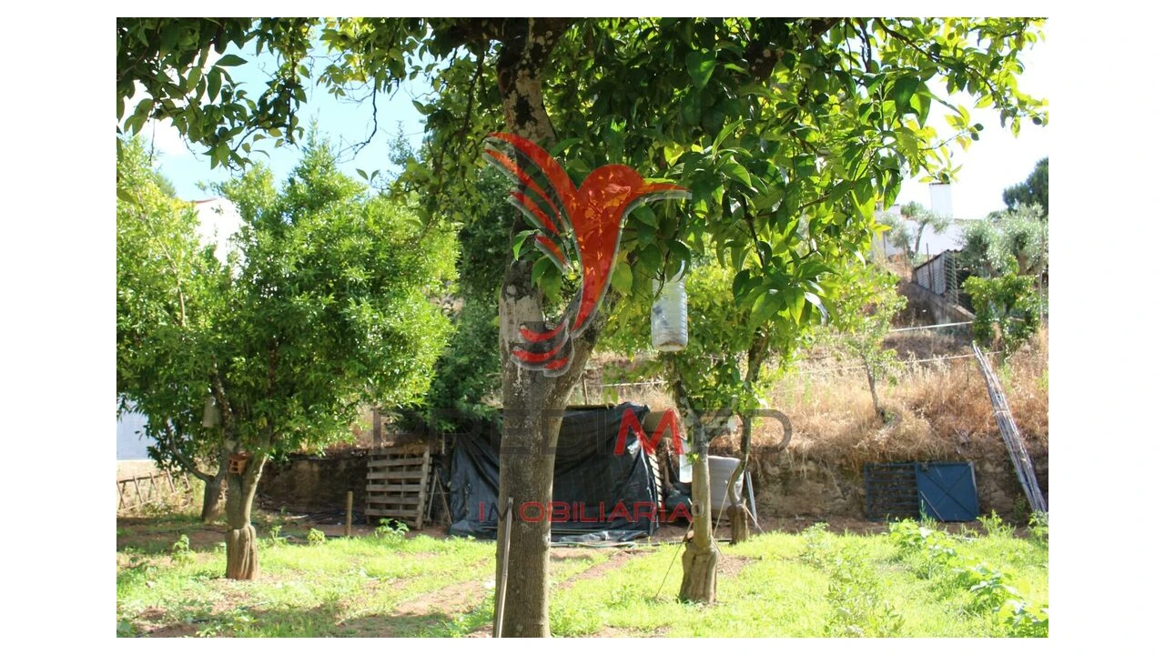 Terreno para Venda em Redondo Foto 14