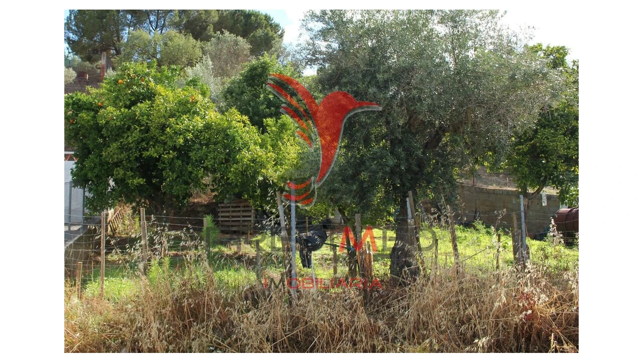 Terreno para Venda em Redondo Foto 18