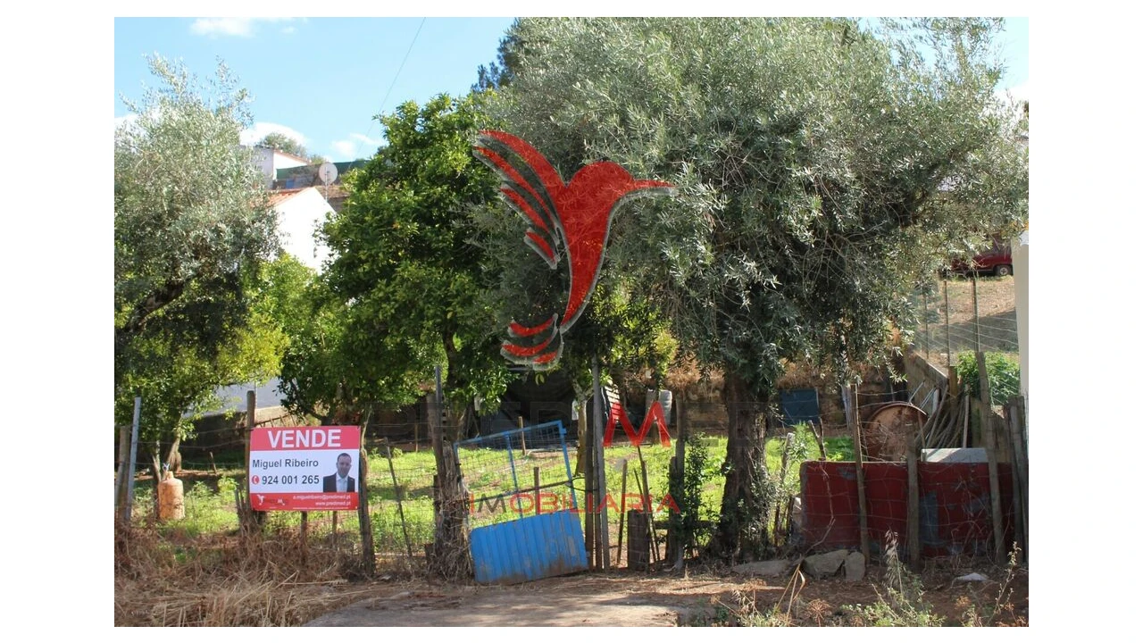 Terreno para Venda em Redondo Foto 16