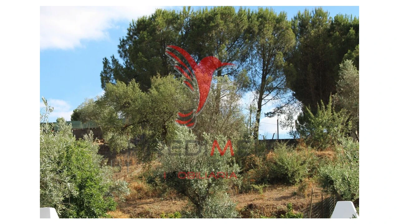 Terreno para Venda em Redondo Foto 11