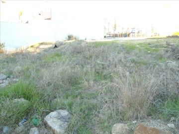 Terreno para Venda em Castelo Branco