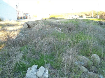 Terreno para Venda em Castelo Branco