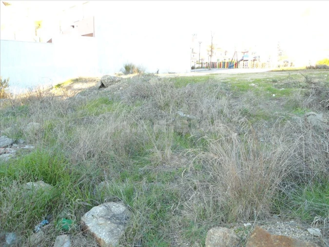 Terreno para Venda em Castelo Branco Foto 5