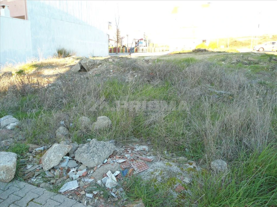 Terreno para Venda em Castelo Branco Foto 3