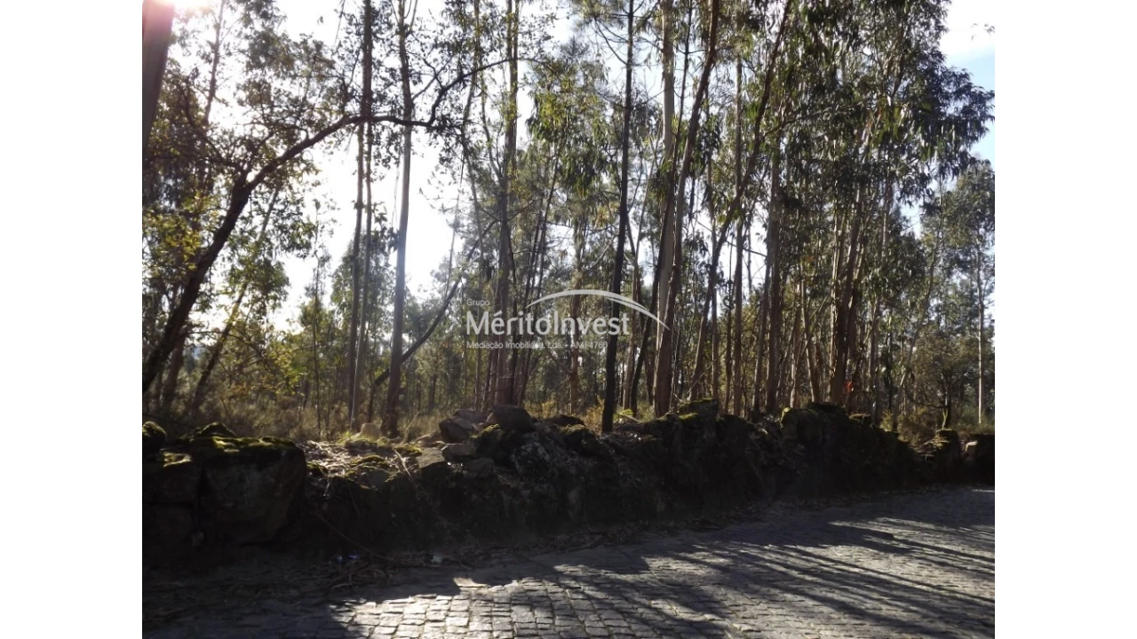 Terreno para Venda em Paradela Foto 3