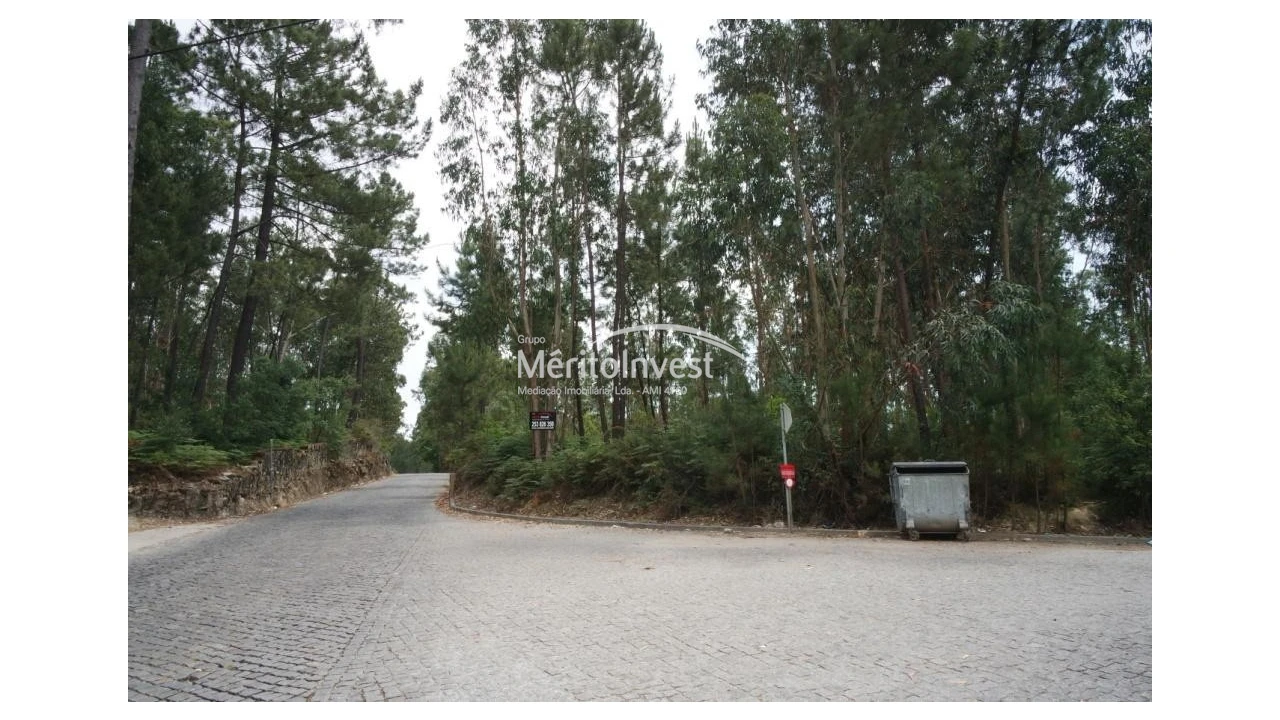 Terreno para Venda em Paradela Foto 4