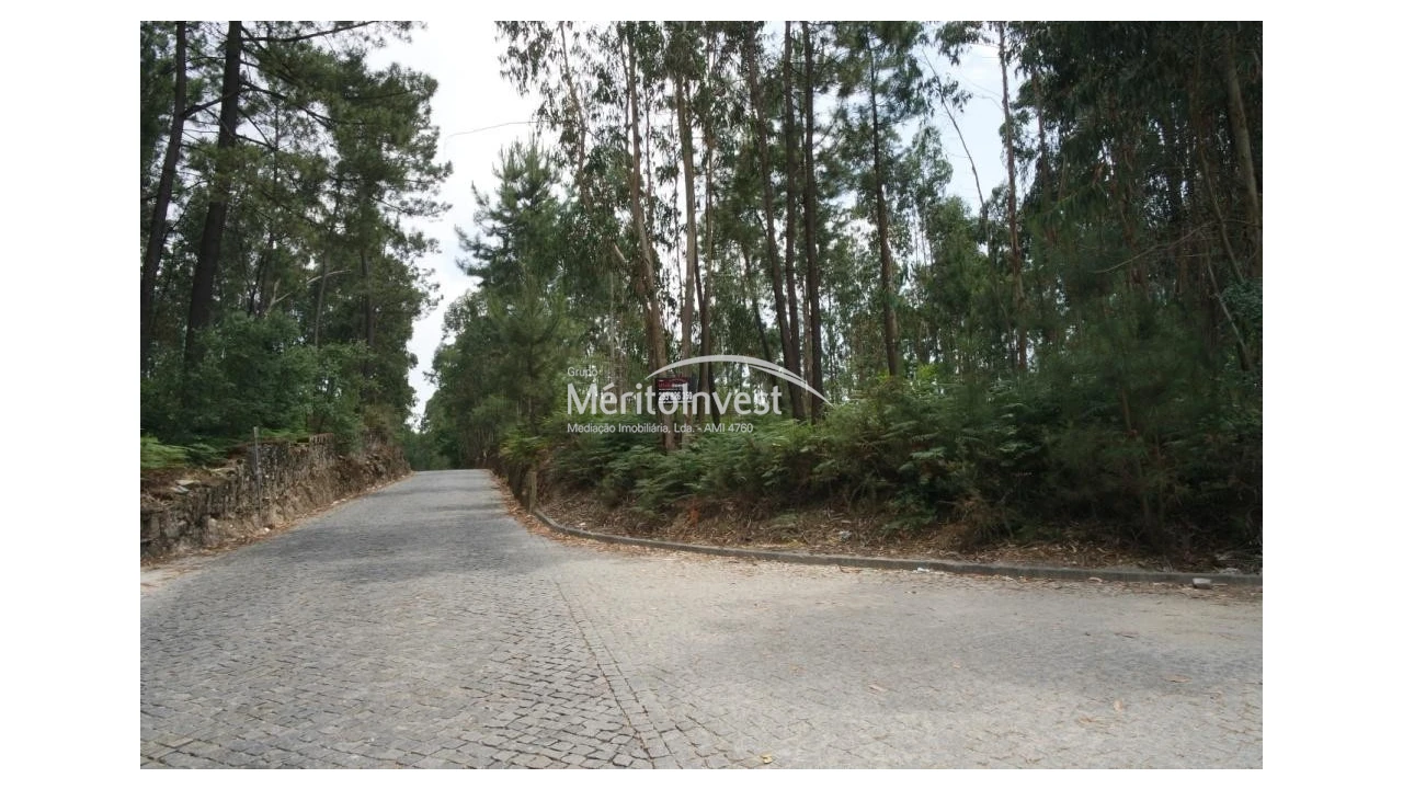 Terreno para Venda em Paradela Foto 1